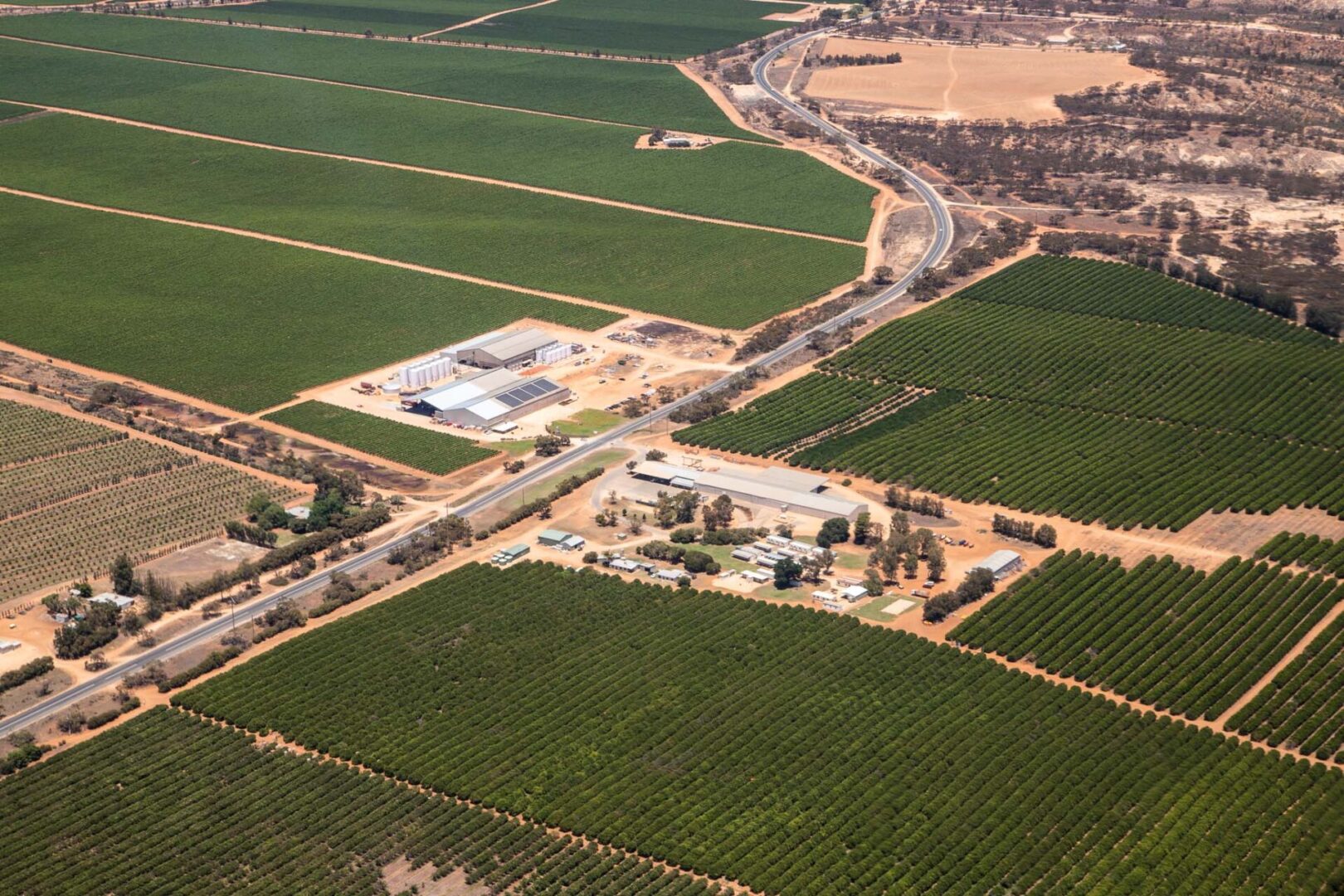 Selena Estate, winery, Bookpurnong Road, Loxton, aerial