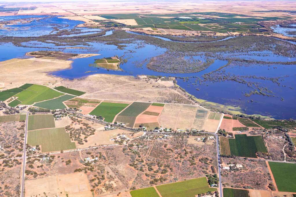 aerial, plane, Winkie, flood, Murray River, Riverland