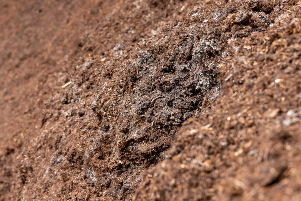 compost farm, South Australia, nutrients, worms, soil, fertiliser, stinky, brown, plants, dirt