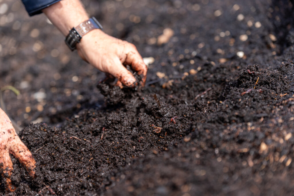 compost farm, South Australia, nutrients, worms, soil, fertiliser, stinky, brown, plants, dirt
