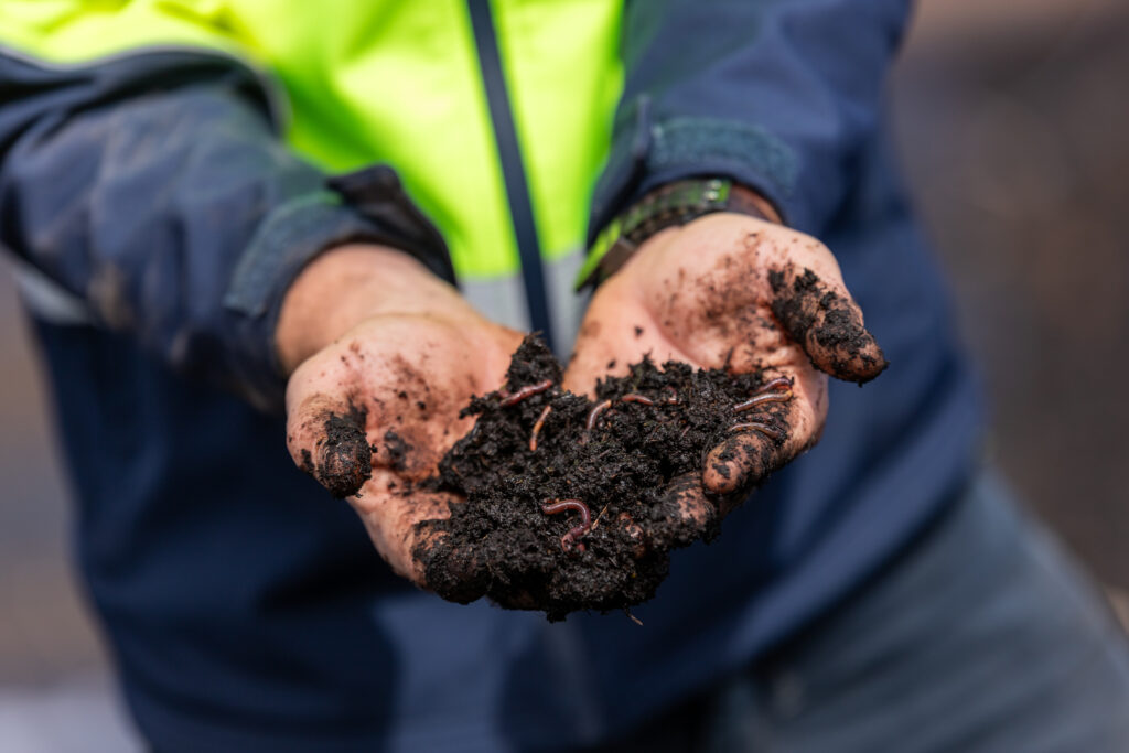 compost farm, South Australia, nutrients, worms, soil, fertiliser, stinky, brown, plants, dirt