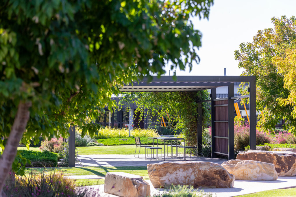 SFOAC, St Francis of Assisi College Renmark, South Australia, school, learning, teaching, private college, music, science, pottery, sport, students, teacher, peers, cooking