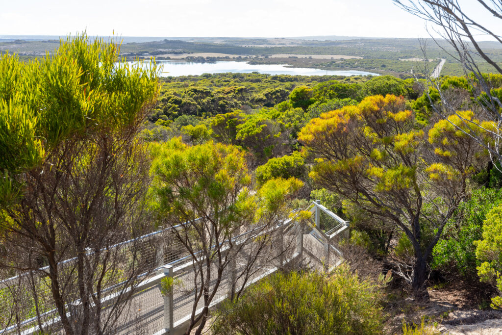 Wagners, Prospect Hill, stairs, walk, view, platform, steps, South Australia, tourism